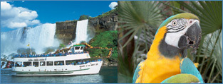 Niagara Falls Attractions
