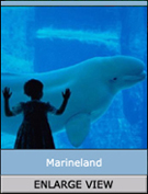 Marineland