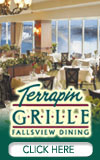 Terrapin Grille