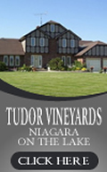 Tudor Vineyards