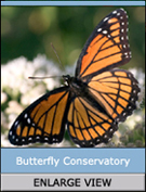 Butterfly Conservatory